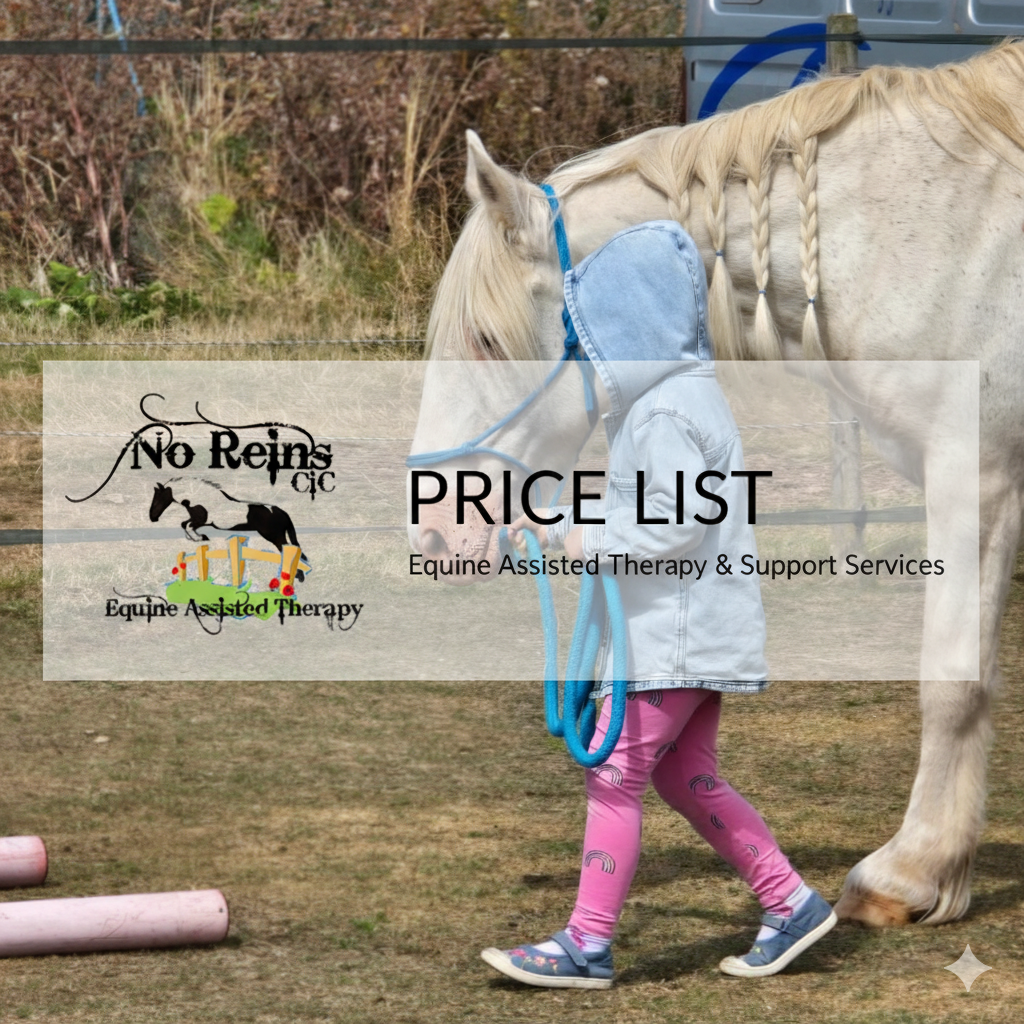 Hero and a No Reins CiC client walking together, with the logo and Price List text overlayed on a semi transparent white box.